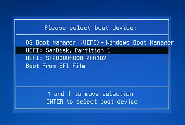 UEFI boot menu showing USB device selected for Windows Server 2022 install